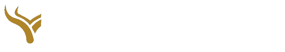 Hunters — Connecting Winners